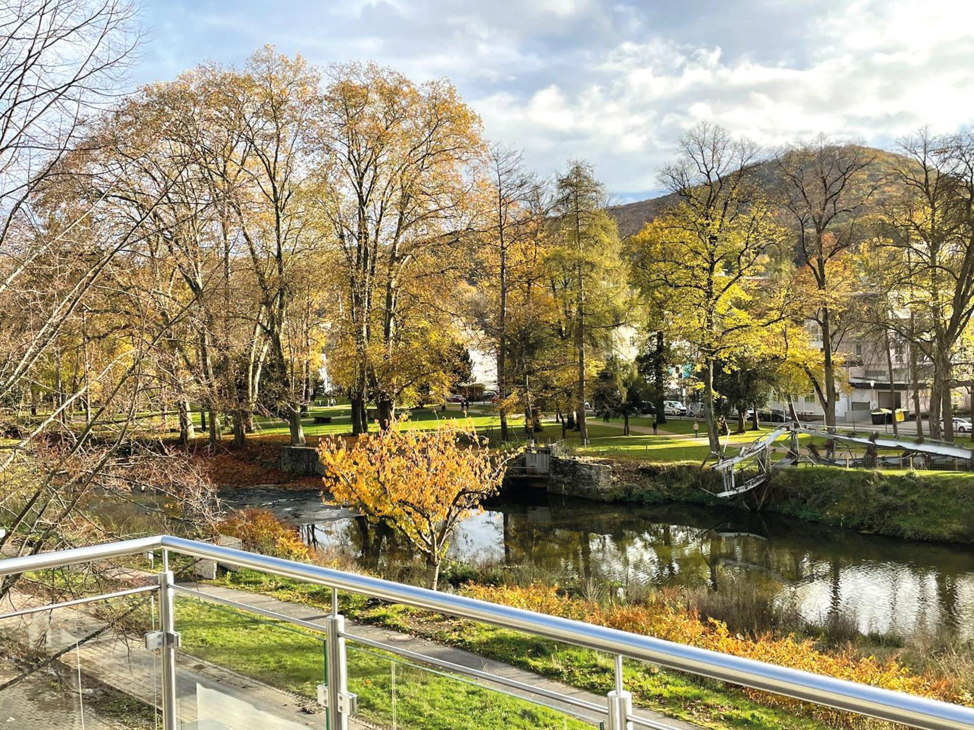 Exklusive Wohnung Mit Ahrblick 2 Bad Neuenahr-Ahrweiler Esterno foto